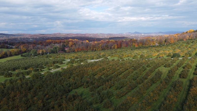 Masker Orchards Masker Orchards