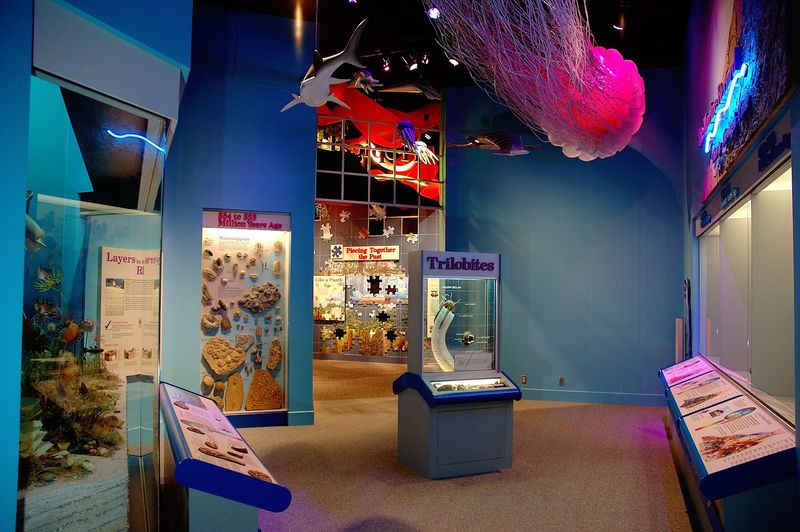 300-Million-Year-Old Geological Secrets On Display