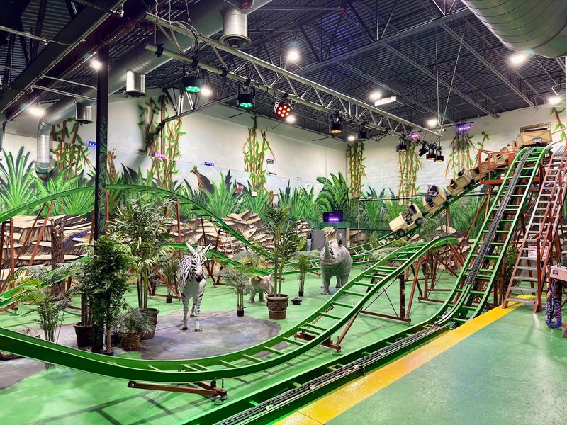 The Roller Coaster Highlight