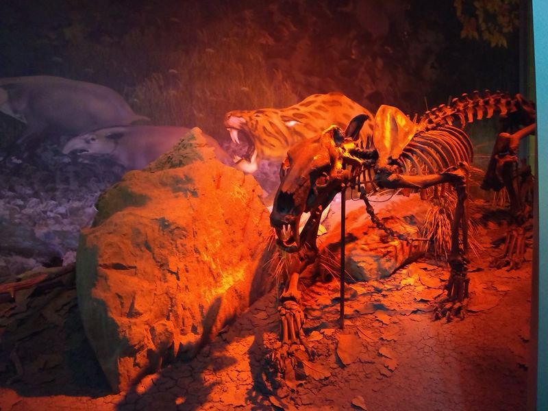 Massive Prehistoric Beasts That Once Roamed East Tennessee