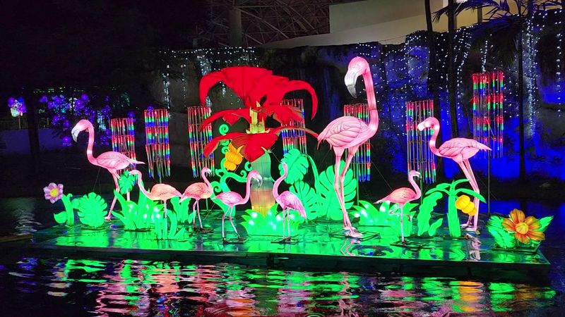 Stunning Illuminated Animal Sculptures