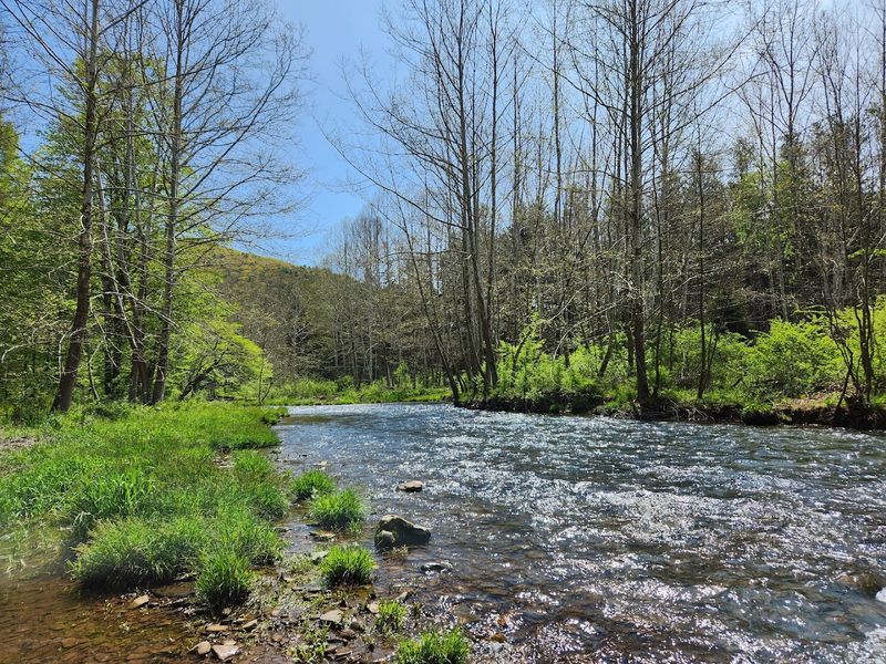 Primitive Sites South of Cherry Springs, Susquehannock State Forest