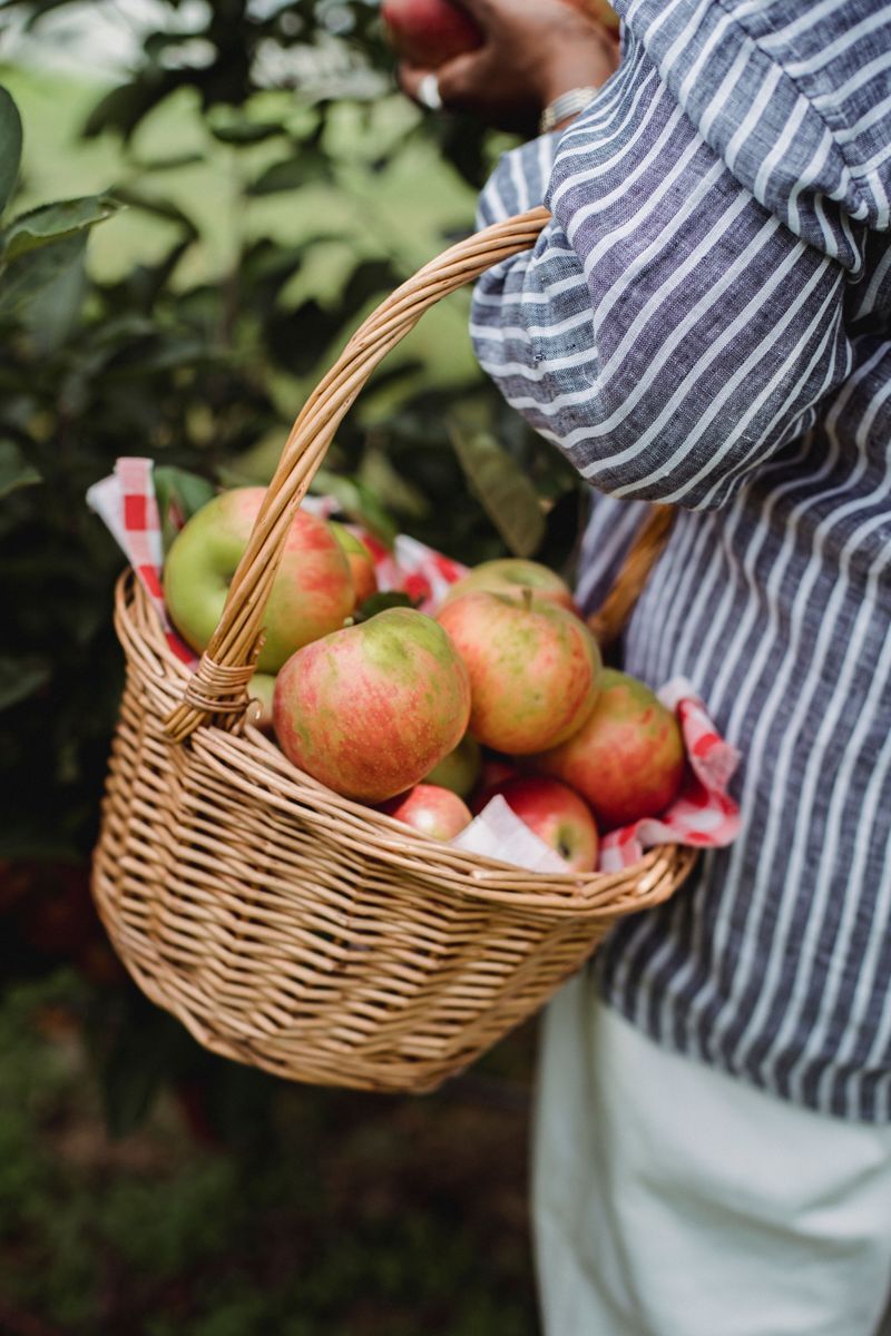 Match Apple Picking To The Clock