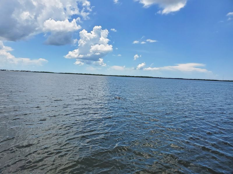 Matlacha Pass Aquatic Preserve and Its Wild Beauty