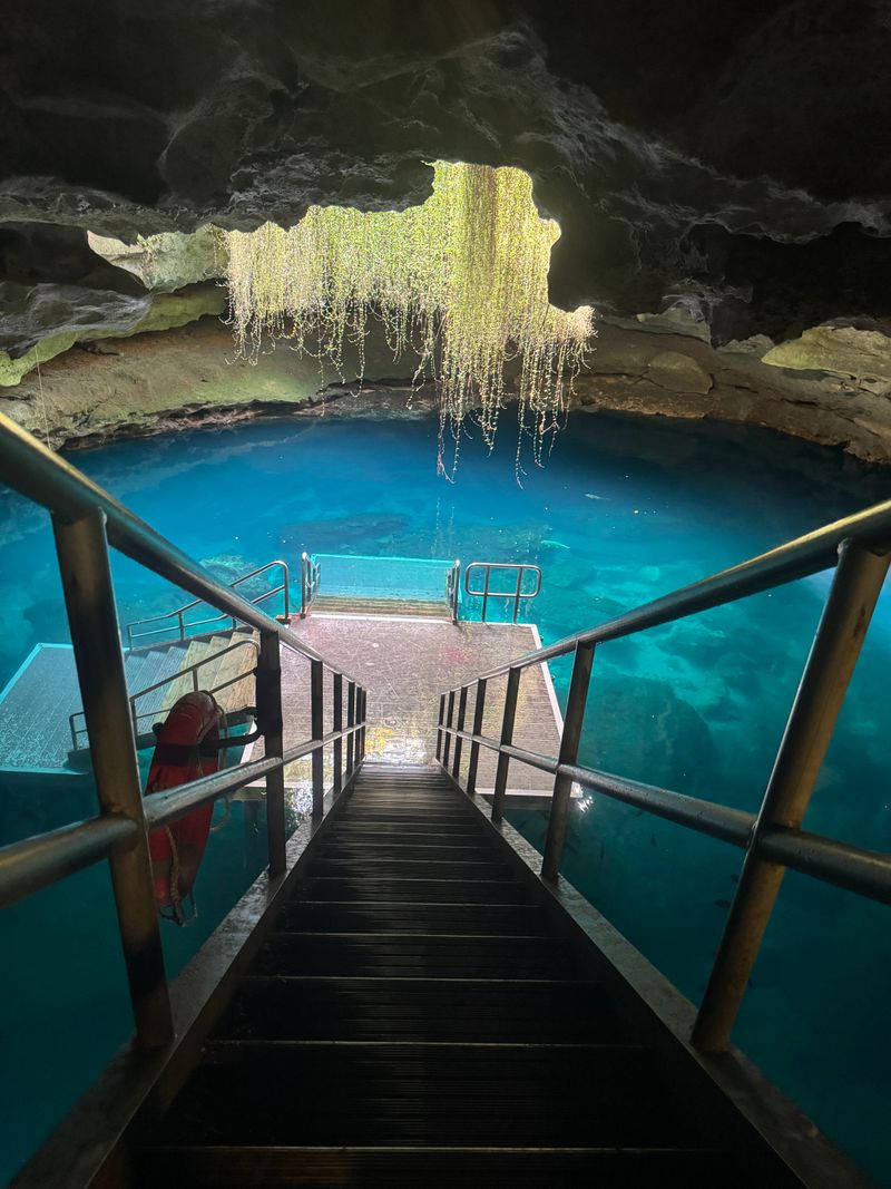 Devil's Den Prehistoric Spring – Williston, FL