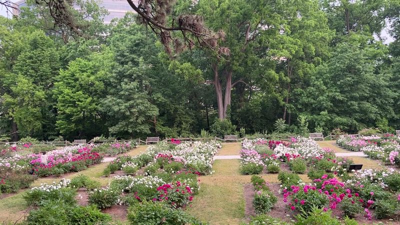 Nichols Arboretum, Ann Arbor