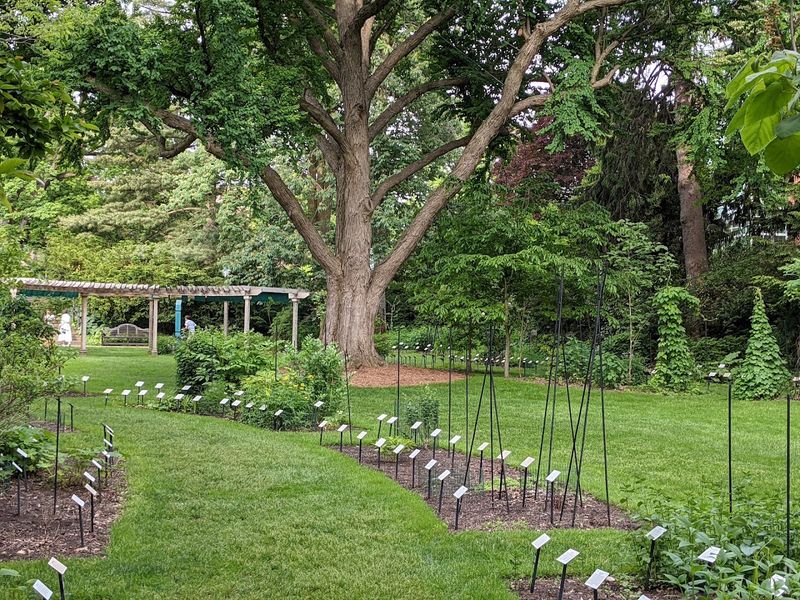 W.J. Beal Botanical Garden, East Lansing