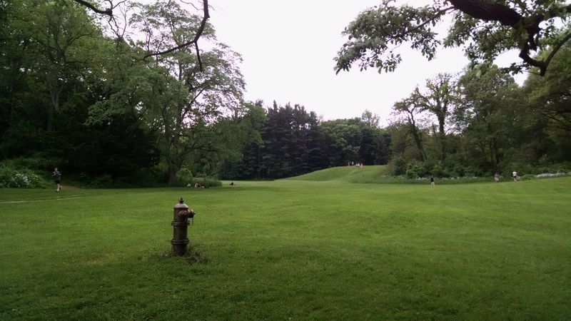 Nichols Arboretum, Ann Arbor