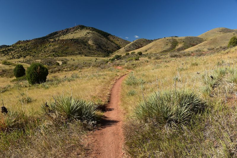 Matthews/Winters Park Trails, Golden