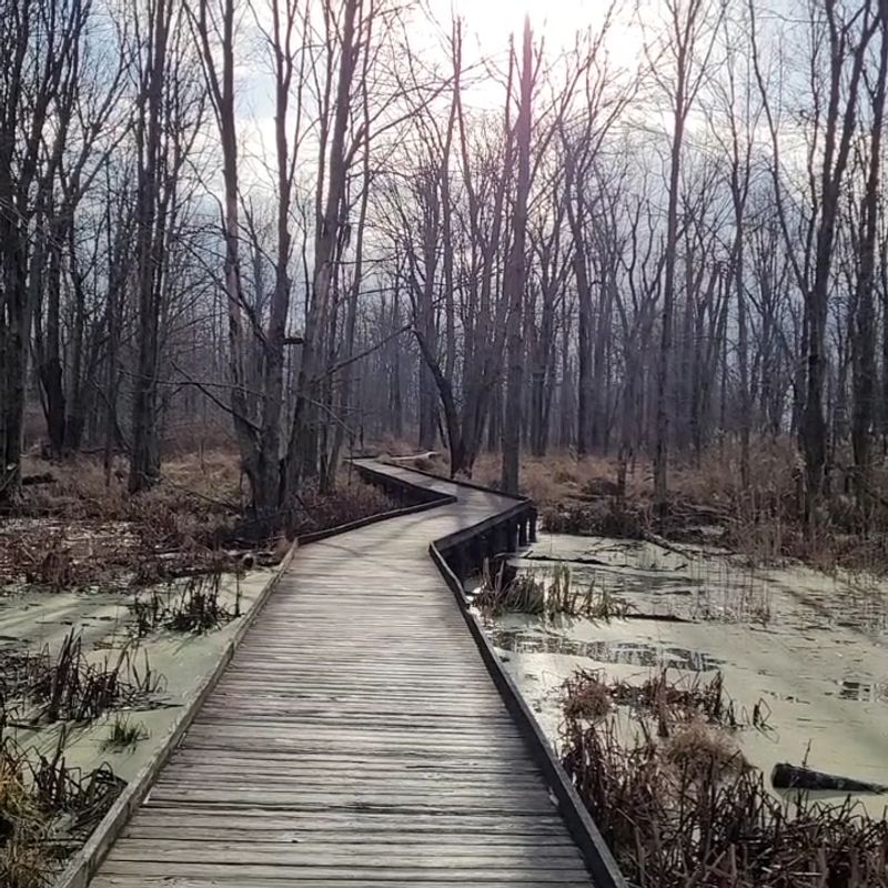 Maumee Bay State Park Boardwalk Trail, Oregon, Ohio
