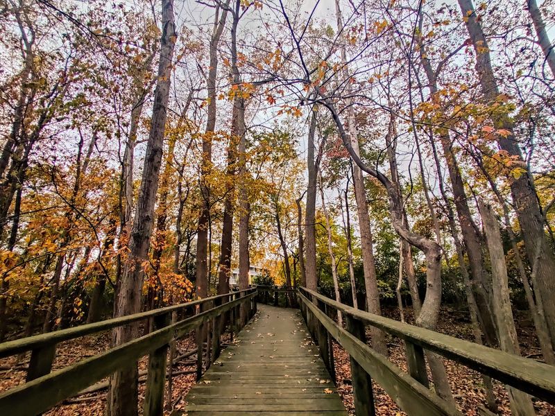 Maumee Bay State Park, Oregon
