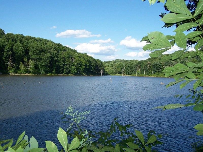 Salt Fork State Park, Lore City, Ohio
