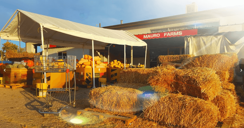 Mauro Farms & Bakery, Pueblo