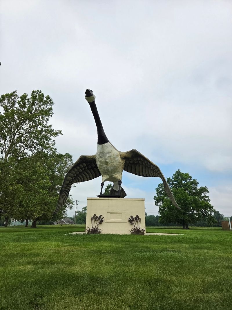 Maxie The World's Largest Goose