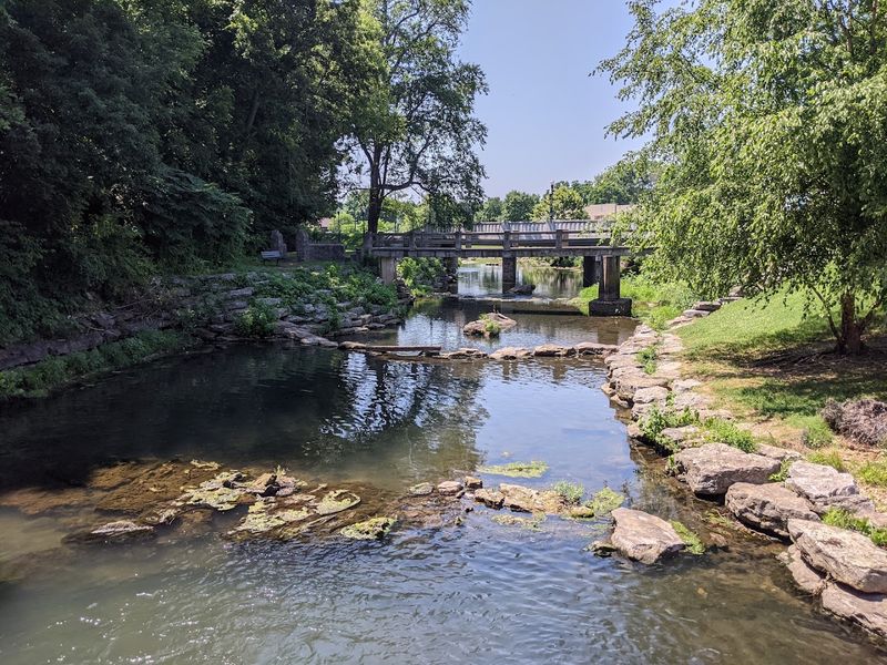 Creekside Walks Beneath Flowering Trees