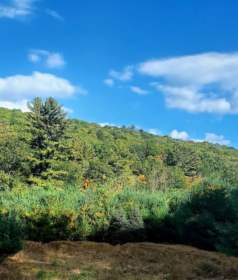 May Is The Perfect Month To Skip The Crowds And Catch The Scenery