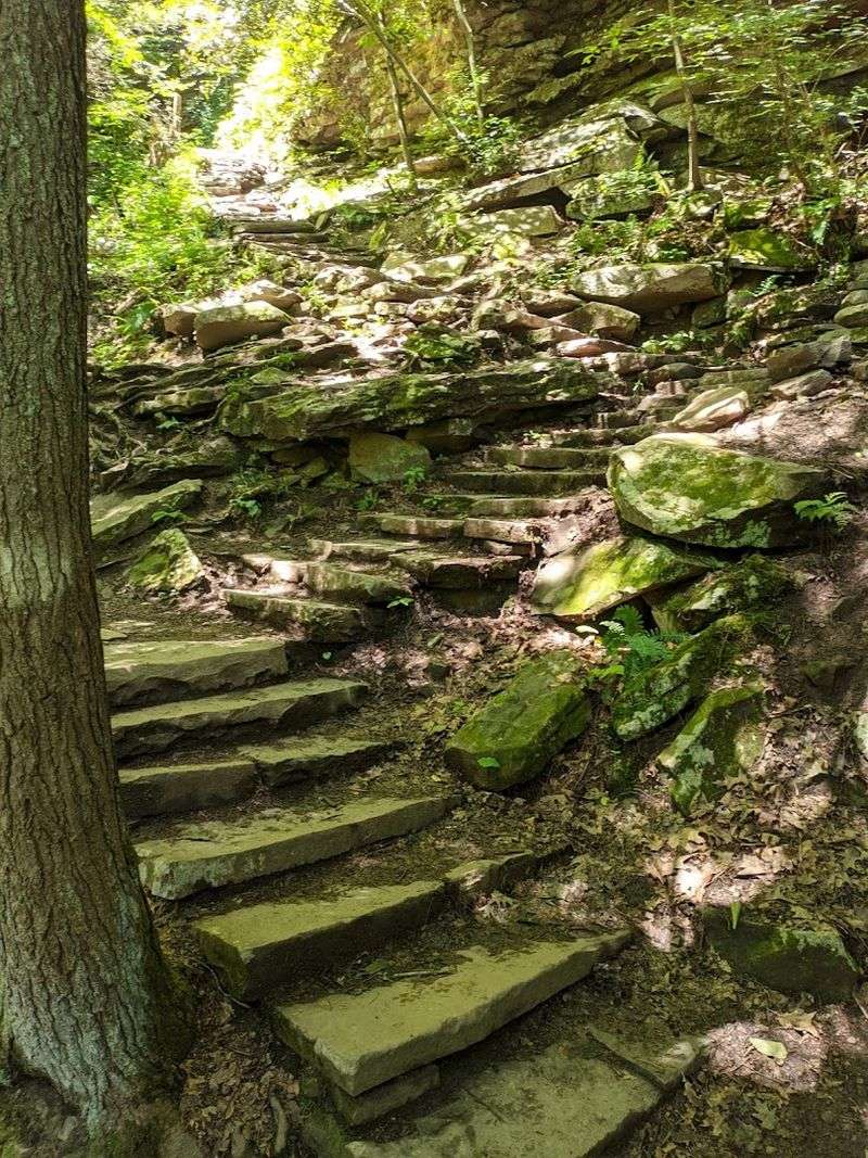 The Trail To Reach It