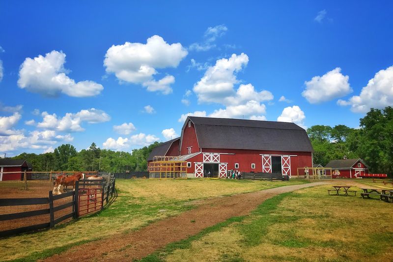 Maybury Farm