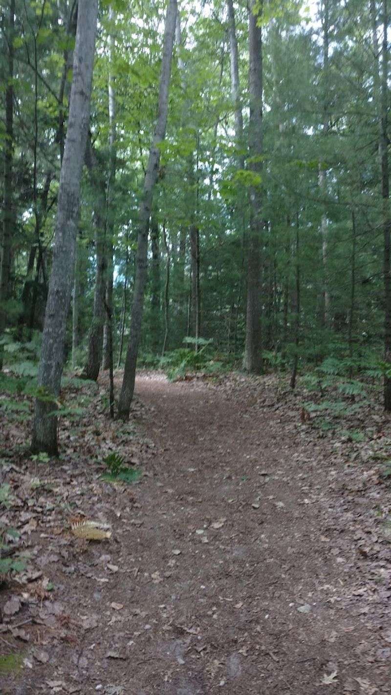 Sleeping Bear Dunes Old Indian Trail, Empire
