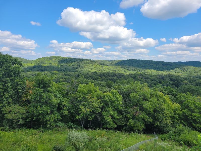 McAdams Peak and Twin Mounds Provide the Viewpoints