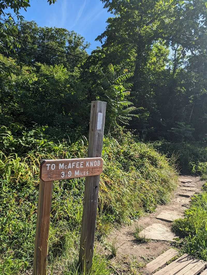 McAfee Knob Trailhead