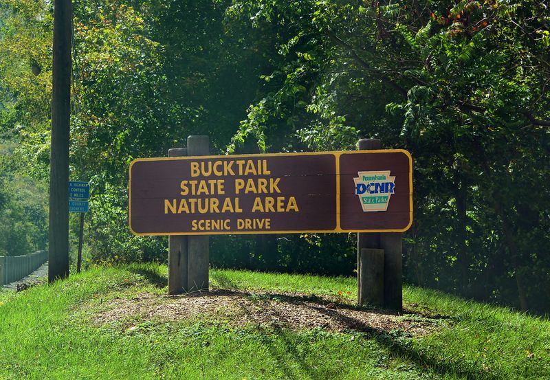 Bucktail State Park Natural Area, Clinton and Cameron Counties, Pennsylvania