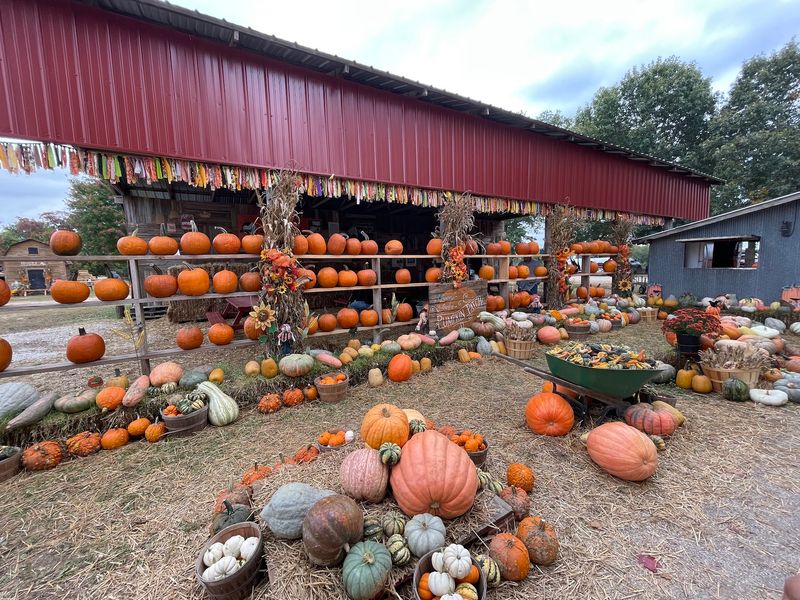 McGarrah Farms, Pea Ridge