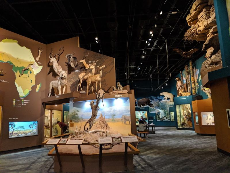 Cleveland Museum of Natural History, Cleveland, Ohio