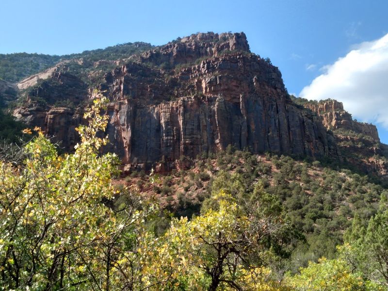 The Drive In Sets The Right Tone Immediately