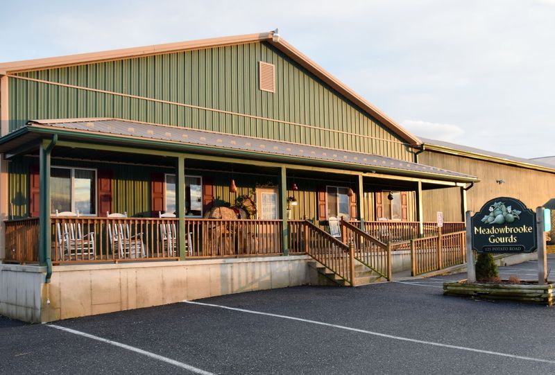 Meadowbrooke Gourds, Carlisle