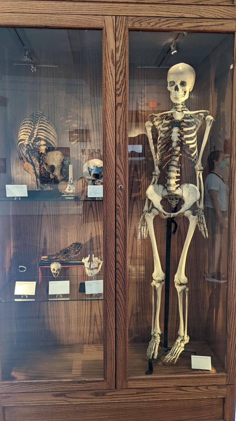 Preserved Specimens Fill Countless Jars