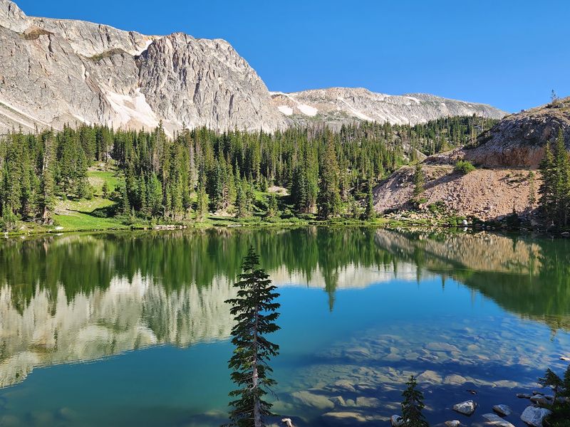 Medicine Bow National Forest