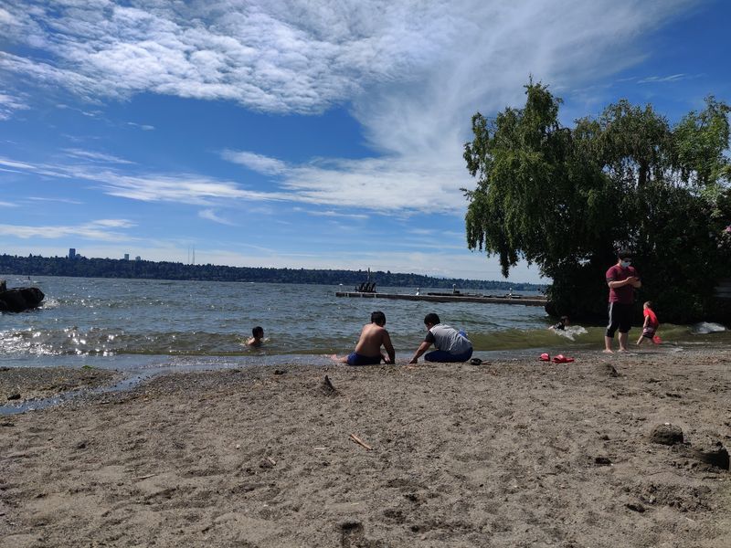 Medina Park And A Shoreline Made For Slow Afternoons