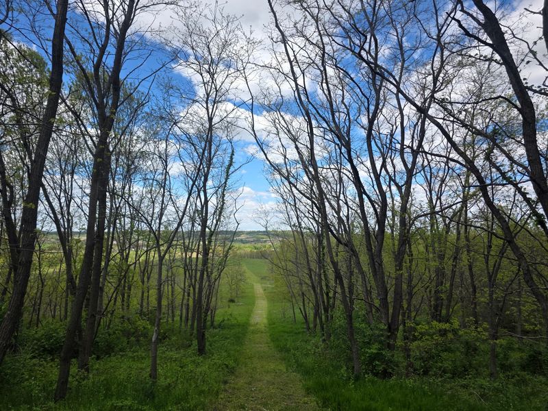 Meet Big Sky Nature Reserve near Stockton