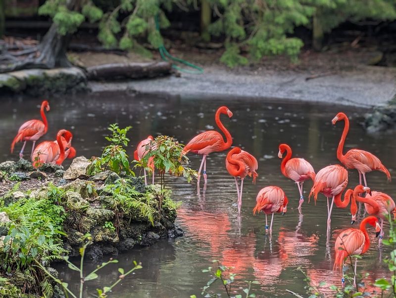 The Underwater Observatory: Meet Manatees Eye To Eye