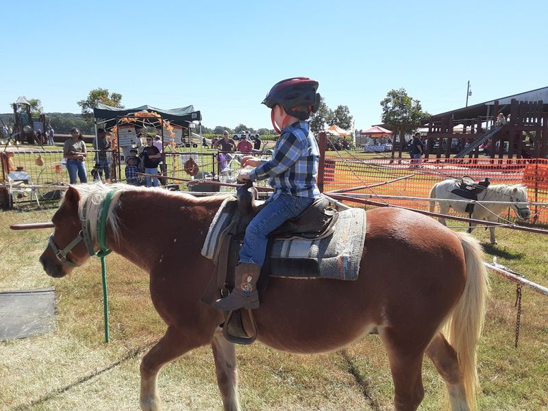 Meet The Animals And Enjoy Pony Rides