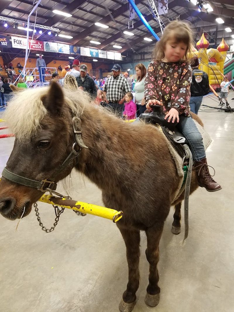 Meet The Fair’s Furry Stars