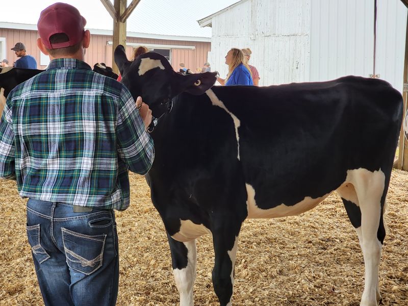 Meet The Farmers Behind The Ribbons