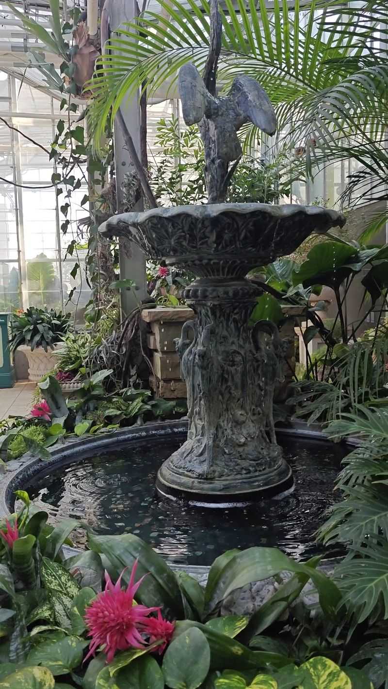 Step Into The Tropical Conservatory