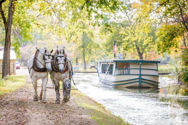 Meet The Horses Behind The Ride Meet The Horses Behind The Ride