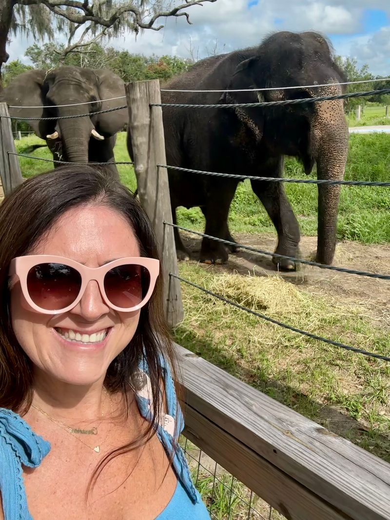 Photography Moments: Getting The Shot Without Stress