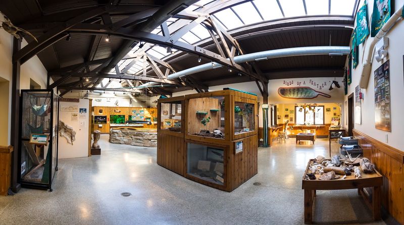 Inside The Nature Center
