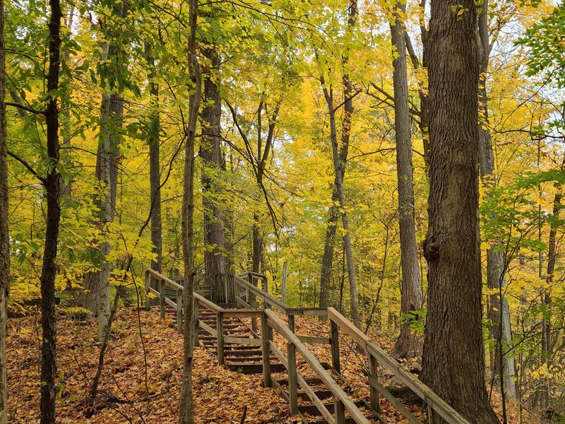 Meet The Woods At Blandford Nature Center