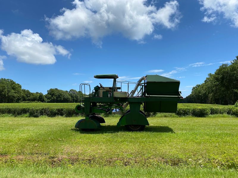 Meet the Green Giant Harvester
