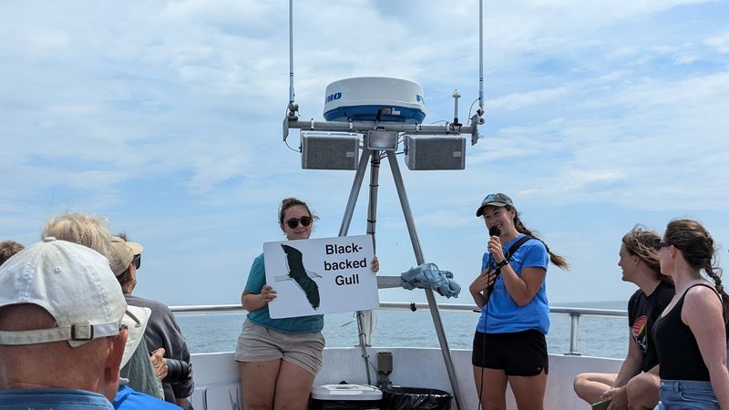 Meeting An Expert Naturalist On Board Meeting An Expert Naturalist On Board