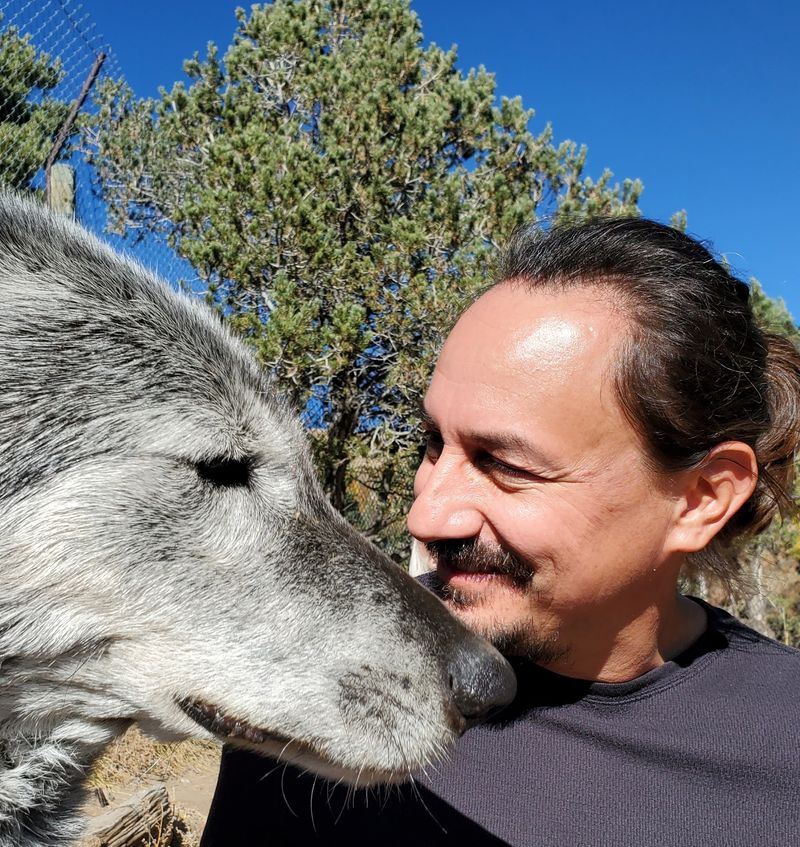 Meeting The Ambassador Wolves Up Close