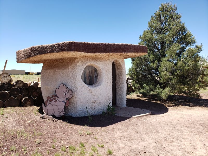 Feeding The Alpacas And Goats