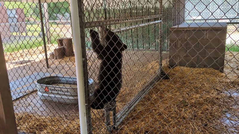 Seasonal Surprises Worth Catching