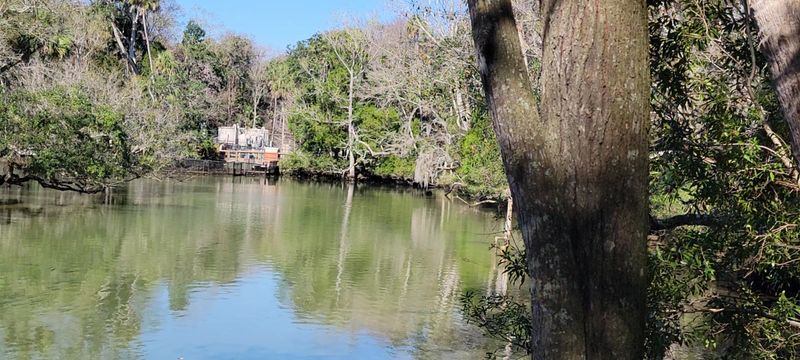 The Unexpected Stars Of The Show