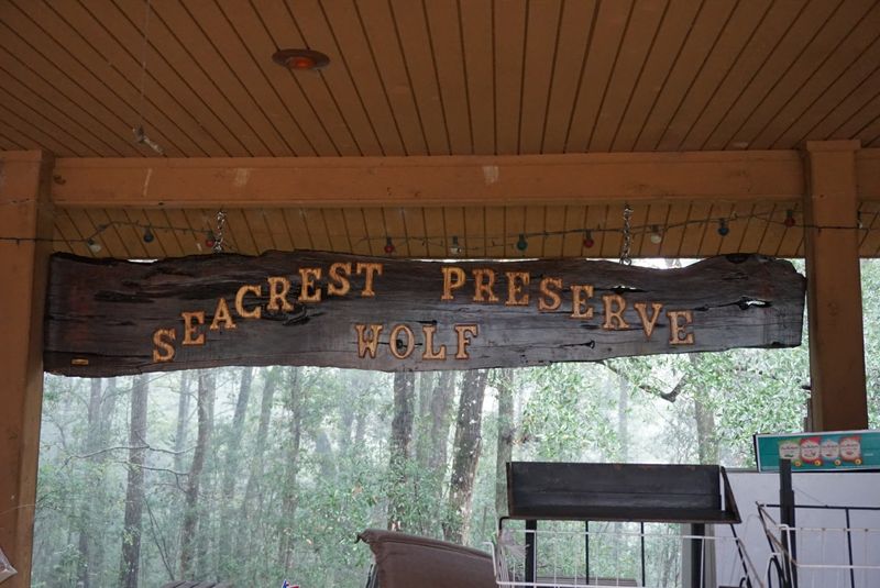 The Passionate Handlers